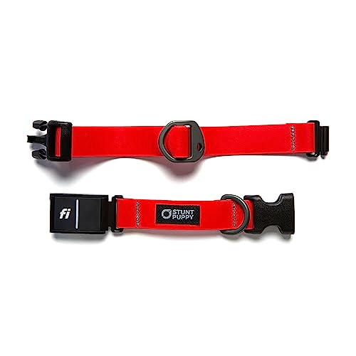 Stunt Puppy Fi Series 3 Ready Dry Halsband, Rot, Größe XL von Stunt Puppy