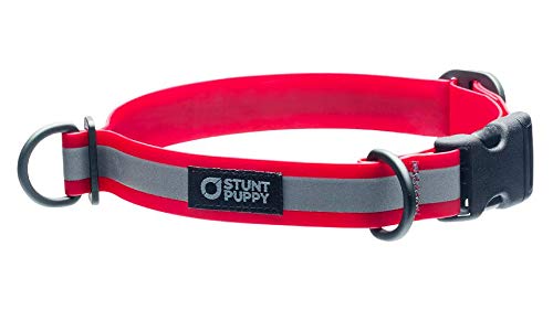 Stunt Puppy Go Dog Glo Dry Halsband, Rot, 2,5 cm von Stunt Puppy