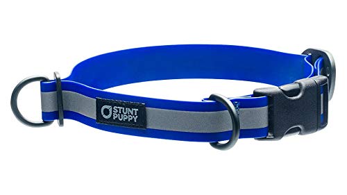 Stunt Puppy Go Dog Glo Dry Halsband, Royal, 2,5 cm von Stunt Puppy