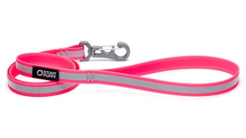 Stunt Puppy Go Dog Glo Dry Leash, Pink, 1,9 cm von Stunt Puppy