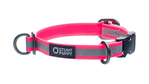 Stunt Puppy Go Dog Glo Hundehalsband, wasserfest, geruchsdicht, klein, Pink von Stunt Puppy