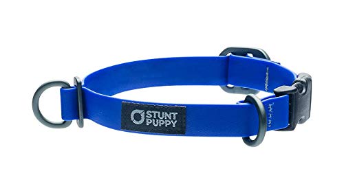 Stunt Puppy Trockenhalsband, Königsblau, Größe S von Stunt Puppy