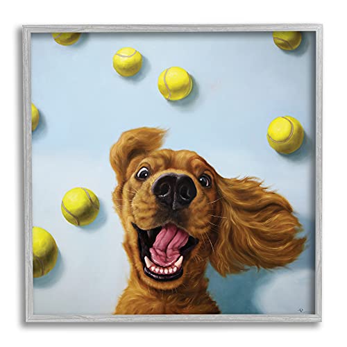 Stupell Industries Lucia Heffernan Wandkunst, gerahmt, Motiv: lächelnder Hund mit gelben Tennisbällen, Grau von Stupell Industries