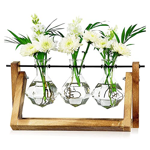 Stuurvnee Pflanzen Vase, Tisch Pflanzen Vermehrung Station mit Schaukel StäNder und Drehbarem Metall Stab, Glas Vase Stuurvnee Pflanzen Vase, Tisch Pflanzen Vermehrung Station mit Schaukel StäNder und Drehbarem Metall Stab, Glas Vase von Stuurvnee