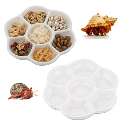 Einsiedler-Krabben-Futterschale, 2 Stück, Mini-Keramik-Einsiedlerkrebse, Futternapf für Reptilien, Wassernapf mit 7 Fächern für Schnecke, Gecko, Eidechse, Aquarium-Zubehör Einsiedler-Krabben-Futterschale, 2 Stück, Mini-Keramik-Einsiedlerkrebse, Futternapf für Reptilien, Wassernapf mit 7 Fächern für Schnecke, Gecko, Eidechse, Aquarium-Zubehör von Styquenzer