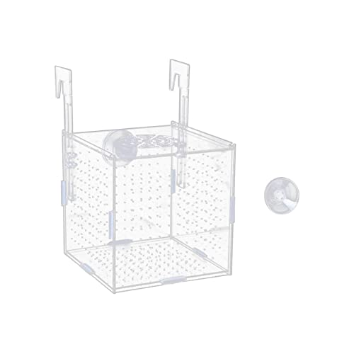 Aquarium-Isolationsbox, transparent, für aggressive Fische, Babys, Garnelen, 15 x 15 x 15 cm, mit Haken von Suammiitstrieadea