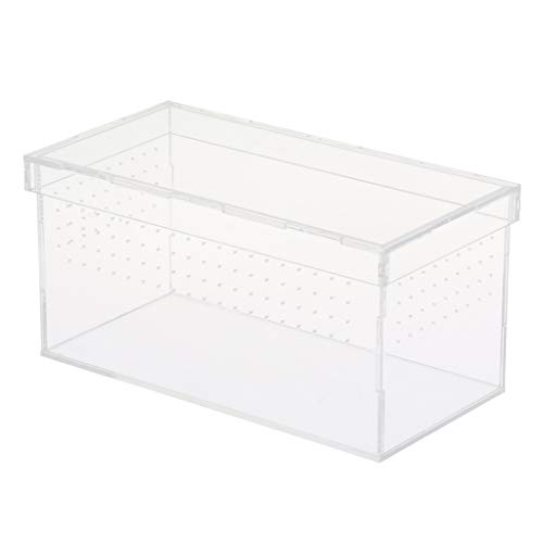 Arylic Reptilien- & Amphibien-Terrarium Box für Schlangen, Eidechsen, Schildkröten, Spinnen von Suammiitstrieadea