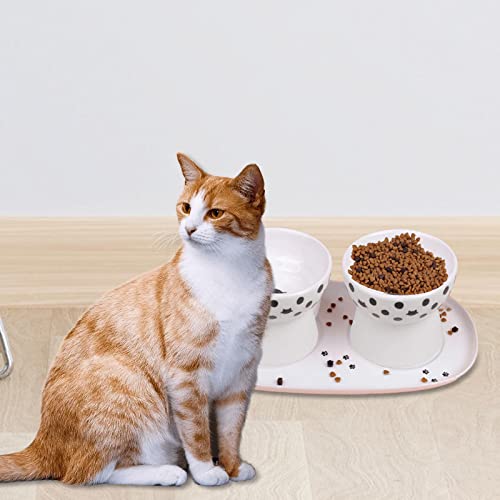 Erhöhter Futternapf für kleine Hunde, Keramik, erhöht, geneigt, für Haustiere Erhöhter Futternapf für kleine Hunde, Keramik, erhöht, geneigt, für Haustiere von Suammiitstrieadea