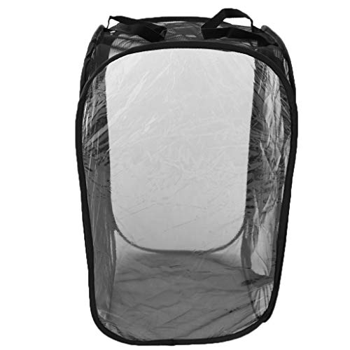 Faltbarer Insekten- und Schmetterlingshaus, Terrarium, Zuchtkäfig, schwarz, M von Suammiitstrieadea