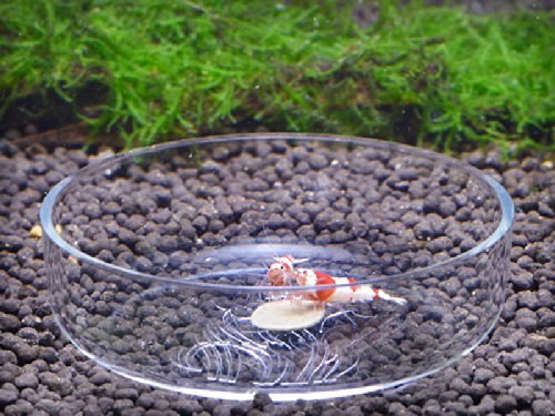 Garnelen-Futternapf für Acrylgarnelenfutter, Aquarium, Nr. 1 Garnelen-Futternapf für Acrylgarnelenfutter, Aquarium, Nr. 1 von Suammiitstrieadea