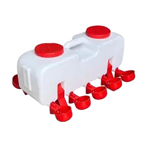 Geflügel Trinkschale Feeder Küken Huhn Tränen Tassen für Henne Taube Wachteln Halbautomatisch S Geflügel Trinkschale Feeder Küken Huhn Tränen Tassen für Henne Taube Wachteln Halbautomatisch S von Suammiitstrieadea
