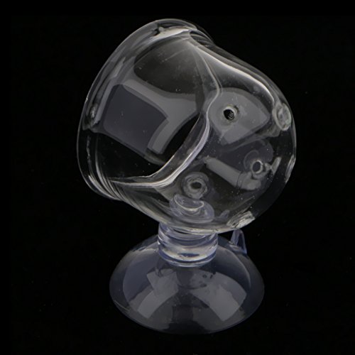 Glastopf-Halter für Garnelen, Aquarium, Aquarium, Wasser-Futterspender # Pinhole Glastopf-Halter für Garnelen, Aquarium, Aquarium, Wasser-Futterspender # Pinhole von Suammiitstrieadea