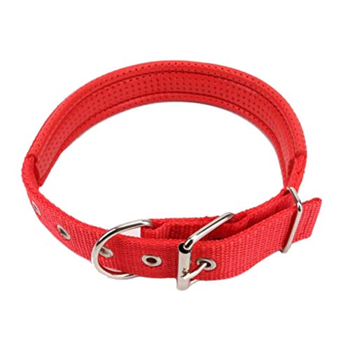 Haustier-Halsband, längenverstellbar, Nylon-Schnalle, für kleine und große Hunde, Welpen, Rot, 2 x 50 cm Haustier-Halsband, längenverstellbar, Nylon-Schnalle, für kleine und große Hunde, Welpen, Rot, 2 x 50 cm von Suammiitstrieadea