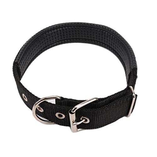 Haustier-Halsband, längenverstellbar, Nylon-Schnalle, für kleine und große Hunde, Welpen, Schwarz, 1,5 x 45 cm Haustier-Halsband, längenverstellbar, Nylon-Schnalle, für kleine und große Hunde, Welpen, Schwarz, 1,5 x 45 cm von Suammiitstrieadea