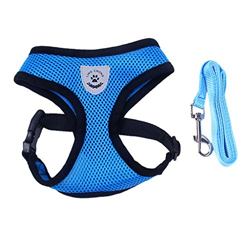 Hundegeschirr aus Netzstoff, Welpenleine, Trainingshalsband, Blau, Größe M Hundegeschirr aus Netzstoff, Welpenleine, Trainingshalsband, Blau, Größe M von Suammiitstrieadea
