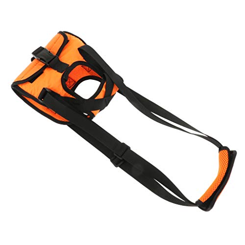 Hundegeschirr für verletzte behinderte Hunde, Größe XL, Orange, XL Hundegeschirr für verletzte behinderte Hunde, Größe XL, Orange, XL von Suammiitstrieadea