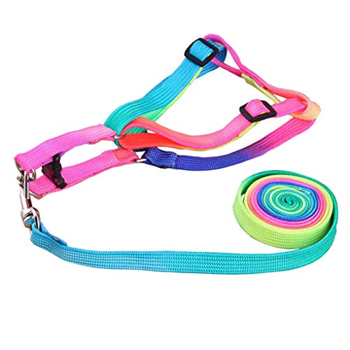 Hundegeschirr mit Leine, für den Außenbereich, mehrfarbig, Nylon, verstellbar, Zuggurt-Set Hundegeschirr mit Leine, für den Außenbereich, mehrfarbig, Nylon, verstellbar, Zuggurt-Set von Suammiitstrieadea