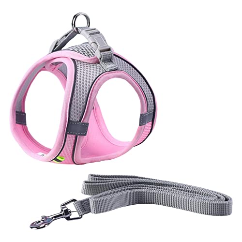 Hundegeschirr mit Leine für kleine, mittelgroße und große Hunde, Outdoor, nächtliche Spaziergänge Hundegeschirr mit Leine für kleine, mittelgroße und große Hunde, Outdoor, nächtliche Spaziergänge von Suammiitstrieadea
