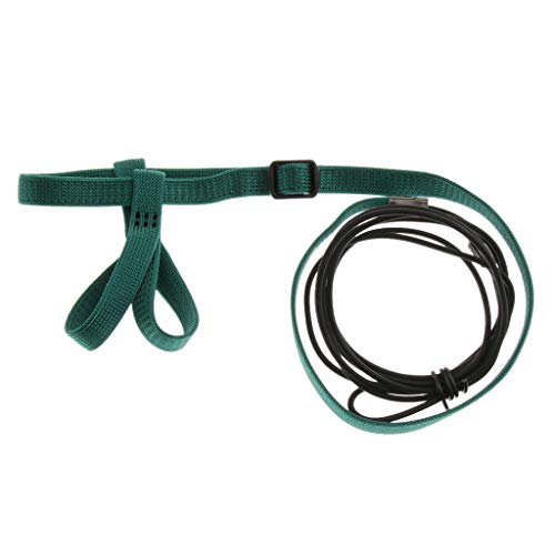 Hundeleine für Papageien, verstellbar, für den Außenbereich, Trainingsseil, Grün, Größe S Hundeleine für Papageien, verstellbar, für den Außenbereich, Trainingsseil, Grün, Größe S von Suammiitstrieadea