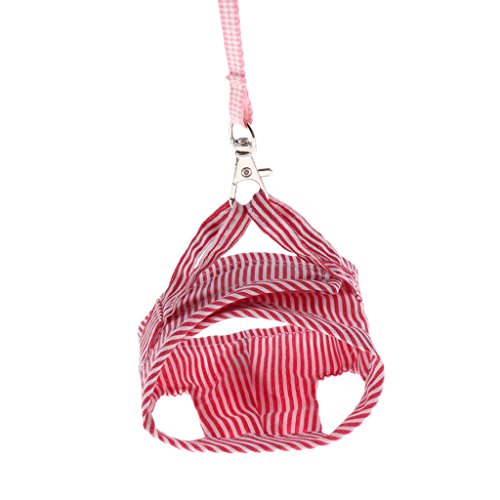 Hurtless Hamsterweste, Leine, Halsband, Geschirr, Führungsseil, Brustgurt, Größe S, Rot Hurtless Hamsterweste, Leine, Halsband, Geschirr, Führungsseil, Brustgurt, Größe S, Rot von Suammiitstrieadea