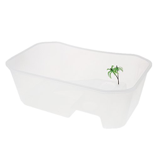 Kunststoff-Futterbox für Reptilien, Terrapin, Schildkröte, Aquarium, Weiß Kunststoff-Futterbox für Reptilien, Terrapin, Schildkröte, Aquarium, Weiß von Suammiitstrieadea