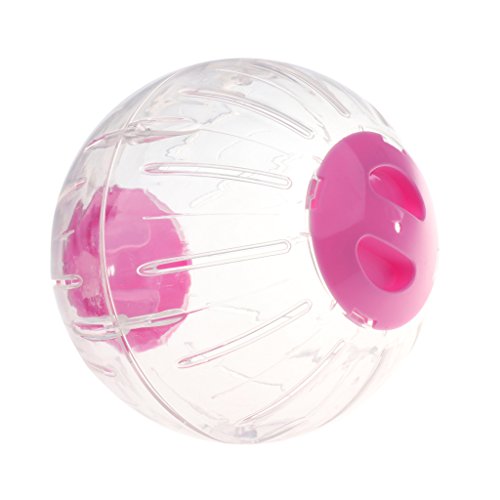 Kunststoff Haustier Hamster Gymnastikball Laufball Aktivitätsspielzeug Zufällige L Kunststoff Haustier Hamster Gymnastikball Laufball Aktivitätsspielzeug Zufällige L von Suammiitstrieadea