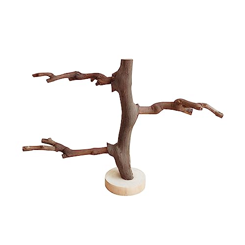 Papageienständer Vogel-Trainingsständer Freistehend für Papageien Vogeltraining Spielzeug C Papageienständer Vogel-Trainingsständer Freistehend für Papageien Vogeltraining Spielzeug C von Suammiitstrieadea
