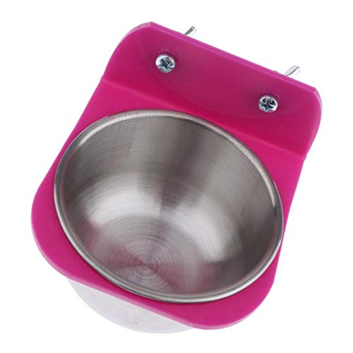 Pet Bird Papageien-Wasser-Futterspender für kleine bis große Vögel, Größe L, zufällig, L Pet Bird Papageien-Wasser-Futterspender für kleine bis große Vögel, Größe L, zufällig, L von Suammiitstrieadea