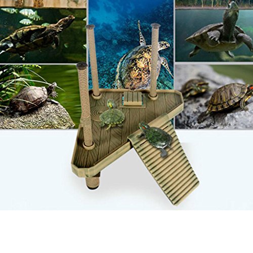 Reptilien-Schildkröten-Pier-Plattform, Vergnügungspark mit Rampe, Leiter, Kunststoff, Sonnenterrasse Reptilien-Schildkröten-Pier-Plattform, Vergnügungspark mit Rampe, Leiter, Kunststoff, Sonnenterrasse von Suammiitstrieadea