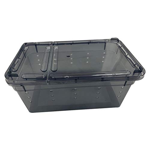 Reptilien-Zuchtbox aus Kunststoff, Spinnen-Fütterung, Schlüpfbehälter, Schwarz Reptilien-Zuchtbox aus Kunststoff, Spinnen-Fütterung, Schlüpfbehälter, Schwarz von Suammiitstrieadea