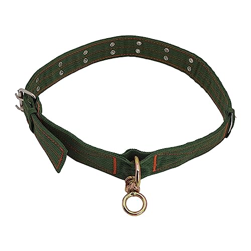 Schafhalsband, 2-reihig, Metallschnalle, Kette, Schaf-Halsriemen für Kamel, Schafe, Tiere, 1 m Schafhalsband, 2-reihig, Metallschnalle, Kette, Schaf-Halsriemen für Kamel, Schafe, Tiere, 1 m von Suammiitstrieadea