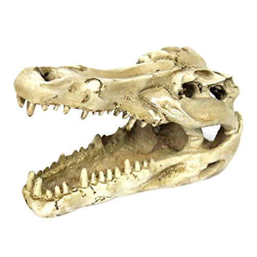 Suammiitstrieadea 1 x Reptilien-Vivarium-Dekoration, Terrarium, DIY, Landschaftsbau, Ornament, Krokodil Suammiitstrieadea 1 x Reptilien-Vivarium-Dekoration, Terrarium, DIY, Landschaftsbau, Ornament, Krokodil von Suammiitstrieadea