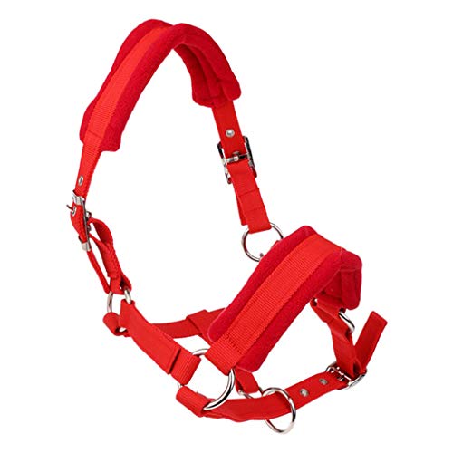 Suammiitstrieadea Dickes Pony-Pferdehalfter, Halfter, Halfter, Reitstall, schützend, Rot, L Suammiitstrieadea Dickes Pony-Pferdehalfter, Halfter, Halfter, Reitstall, schützend, Rot, L von Suammiitstrieadea