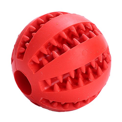 Suammiitstrieadea Gummiball zum Kauen, Leckerli-Reinigung, für Hundetraining, Zahnspielzeug, 5 cm, Rot Suammiitstrieadea Gummiball zum Kauen, Leckerli-Reinigung, für Hundetraining, Zahnspielzeug, 5 cm, Rot von Suammiitstrieadea