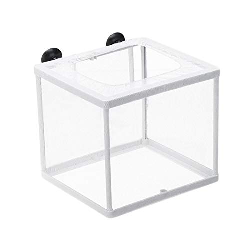 Suammiitstrieadea Guppy Züchter für Aquarien, Guppy-Züchter, Fisch, Baby, Gazefalle, Isolator, M Suammiitstrieadea Guppy Züchter für Aquarien, Guppy-Züchter, Fisch, Baby, Gazefalle, Isolator, M von Suammiitstrieadea