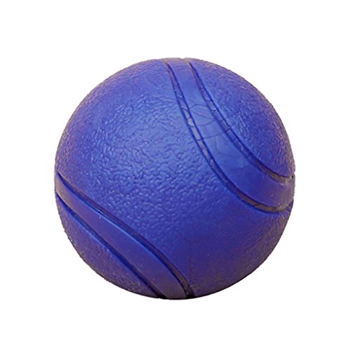 Suammiitstrieadea Hundeball aus Vollgummi, Training, Zähne, Kauen, Beißen, elastisch, langlebig, tragbar, 4,5 cm, Blau Suammiitstrieadea Hundeball aus Vollgummi, Training, Zähne, Kauen, Beißen, elastisch, langlebig, tragbar, 4,5 cm, Blau von Suammiitstrieadea