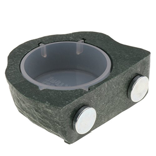 Suammiitstrieadea Mini-Futterstation für Gecko-Diät, Futter oder Wasser, magnetisch, Grün Suammiitstrieadea Mini-Futterstation für Gecko-Diät, Futter oder Wasser, magnetisch, Grün von Suammiitstrieadea
