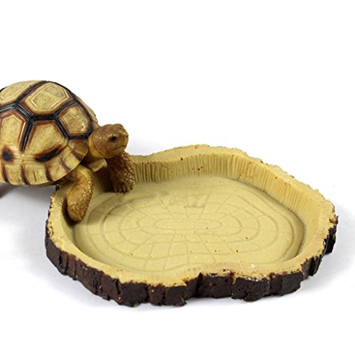 Suammiitstrieadea Reptilien-Futternapf Futter Wasser Harz Schale Haustier Vivarium Schildkröte Gecko Schlange von Suammiitstrieadea