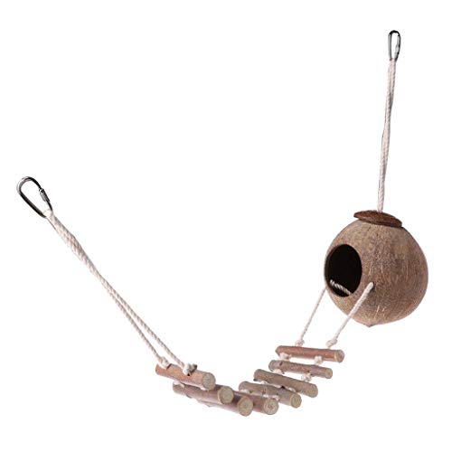 Suammiitstrieadea Vogelnest aus Kokosnuss zum Aufhängen, mit lustiger Leiter, Kleintiere, Haustier-Lebensräume Suammiitstrieadea Vogelnest aus Kokosnuss zum Aufhängen, mit lustiger Leiter, Kleintiere, Haustier-Lebensräume von Suammiitstrieadea