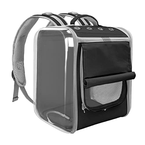 Transporttasche für Hunde unter 6 kg, Katzen unter 9 kg, tragbarer Hunderucksack zum Spazierengehen, Schwarz Transporttasche für Hunde unter 6 kg, Katzen unter 9 kg, tragbarer Hunderucksack zum Spazierengehen, Schwarz von Suammiitstrieadea