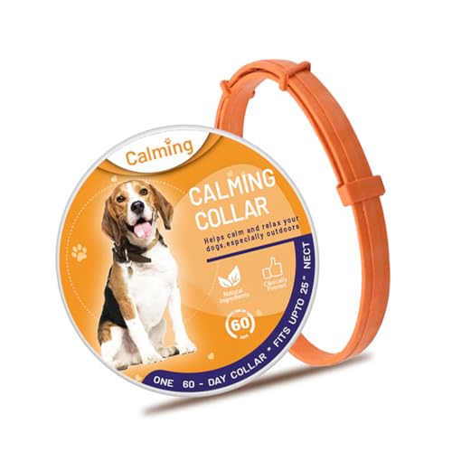 Verstellbares, einziehbares Katzenhalsband, entfernt Unruhe, Spazierengehen, Training, Haustiere, beruhigende Produkte, Haushaltsgeschäft, Nr. 1 Verstellbares, einziehbares Katzenhalsband, entfernt Unruhe, Spazierengehen, Training, Haustiere, beruhigende Produkte, Haushaltsgeschäft, Nr. 1 von Suammiitstrieadea