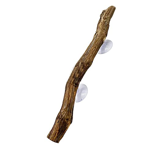 Vogel-Sitzstange, Dekoration, Kauspielzeug, Papageienständer, Spielzeug für Nymphensittiche, Kanarienvögel, Weinrebe Vogel-Sitzstange, Dekoration, Kauspielzeug, Papageienständer, Spielzeug für Nymphensittiche, Kanarienvögel, Weinrebe von Suammiitstrieadea