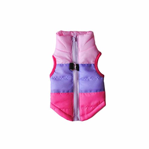 Warme Hundejacke mit Schnalle, winddicht, gepolstert, Winterweste für Pudel, kleine Hunde, Rot, Größe XS Warme Hundejacke mit Schnalle, winddicht, gepolstert, Winterweste für Pudel, kleine Hunde, Rot, Größe XS von Suammiitstrieadea