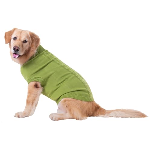 Welpen-Shirt, mehrere Größen, Haustierpullover, süßes Geschenk, atmungsaktiv, Welpenbekleidung, Outfit, geschmeidiger Hundepullover, Obstgrün, XXL Welpen-Shirt, mehrere Größen, Haustierpullover, süßes Geschenk, atmungsaktiv, Welpenbekleidung, Outfit, geschmeidiger Hundepullover, Obstgrün, XXL von Suammiitstrieadea