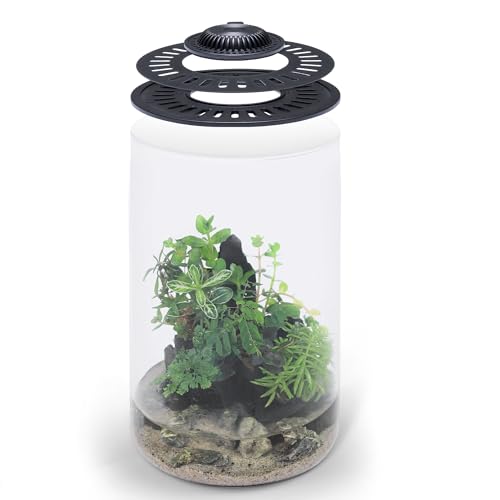 SubstrateSource Bio Cylinder Glaspflanzen-Terrarium-Set, Glas-Terrarium mit LED-Wachstumslicht, verstellbarer Belüftungsdeckel, Substrat, Moos und Akzentsteine, Bio-Zylinder 150 SubstrateSource Bio Cylinder Glaspflanzen-Terrarium-Set, Glas-Terrarium mit LED-Wachstumslicht, verstellbarer Belüftungsdeckel, Substrat, Moos und Akzentsteine, Bio-Zylinder 150 von SubstrateSource
