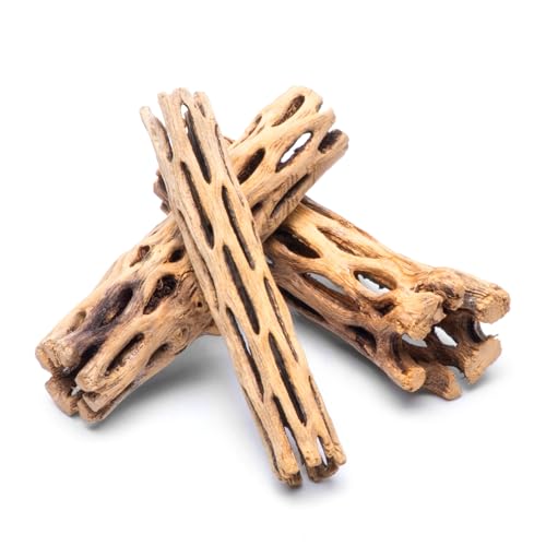 SubstrateSource Cholla Wood Aquarium Driftwood 4 Inch - 3 Pieces by SubstrateSource SubstrateSource Cholla Wood Aquarium Driftwood 4 Inch - 3 Pieces by SubstrateSource von SubstrateSource