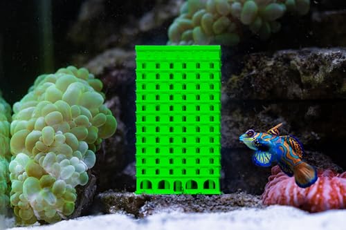 SubstrateSource Pod Hotel – 3D-gedruckte Copepod Isopod Amphipoden Züchter Box Fabrik für Salzwasser Riffbecken oder Refugium, Isopod – 2 x 2 x 3,6, Grün SubstrateSource Pod Hotel – 3D-gedruckte Copepod Isopod Amphipoden Züchter Box Fabrik für Salzwasser Riffbecken oder Refugium, Isopod – 2 x 2 x 3,6, Grün von SubstrateSource