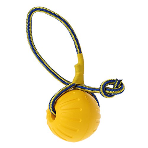 SueaLe Lustiges Hundespielzeug, Ball, Welpen-Trainingsball, Spielzeug mit Seil, Apportierball für Hunde, interaktives Spielzeug für Hunde im Innen- und Außenbereich von SueaLe