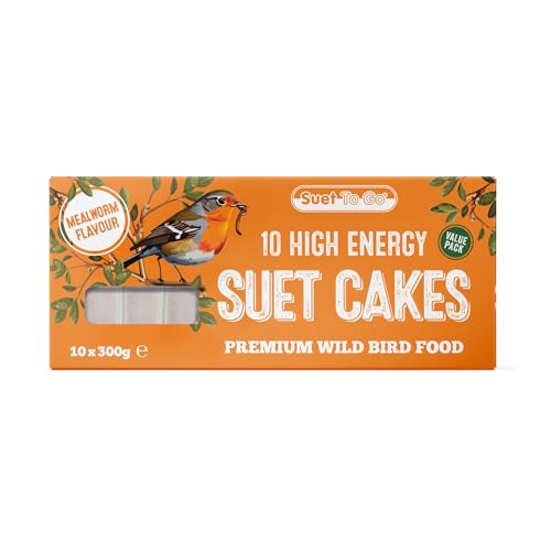 GroceryCentre 11783/3615 Unipet Wild Bird Suet Value Insect Block 300 g (Pack of 10) von Suet To Go