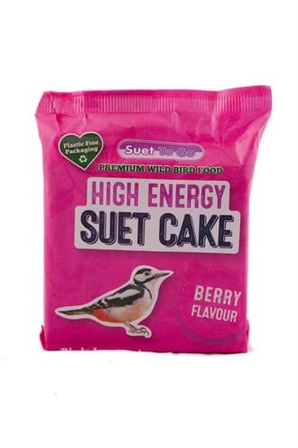 Suet to Go Block Berry 280 g von Suet To Go